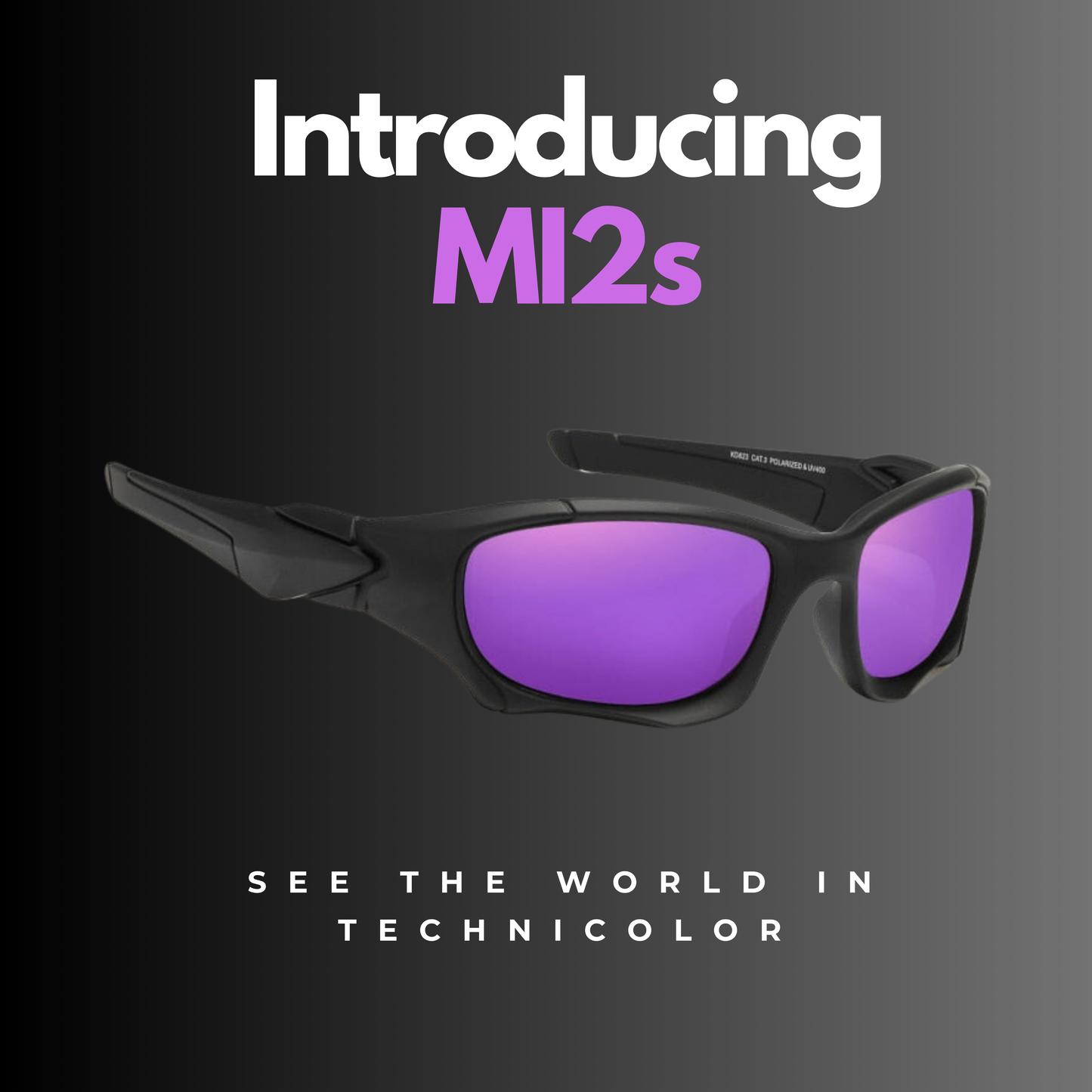 MI2s